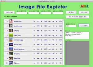 Image File Explorer